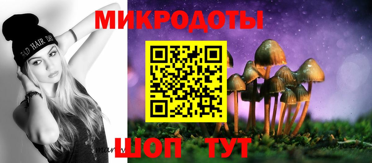 Галлюциногенные грибы MAGIC MUSHROOMS  Вход с VPN  Галлюциногенные грибы MAGIC MUSHROOMS  Нефтекумск 